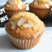 Best Coconut Muffins Recipe Moist and fluffy