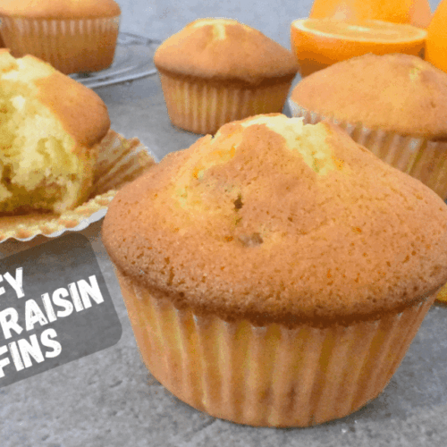 Orange raisin cake with two orange slices and mint leaves for garnish on the side